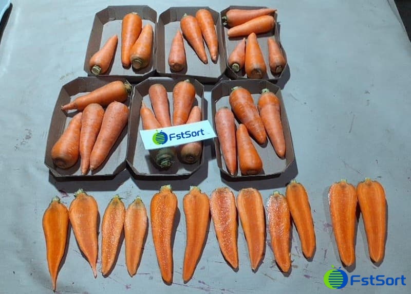 images/1700206936756carrot sorting grading machine.jpg